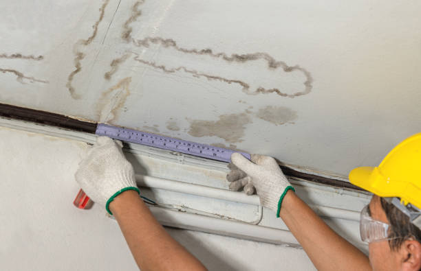 Reliable Mold Remediation contractor in Burlington, KS by Water Damage Irwin